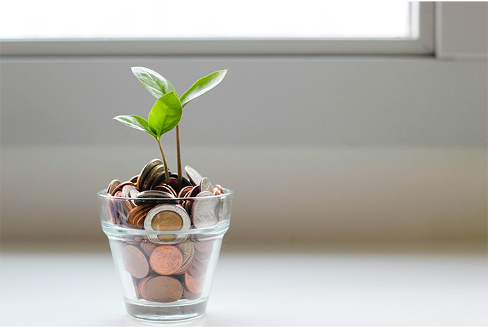 An image of a glass full of coins, with a small plant growing from it